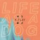 K.Flay - Make Me Fade