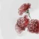 John Legend feat. Jennifer Nettles, Hunter Hayes - All of Me