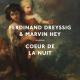 Ferdinand Dreyssig, Marvin Hey - Coeur de la nuit Worakls Remix