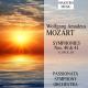 Tbilisi Symphony Orchestra - Symphony No.40 In G Minor, K.550: I. Molto Allegro