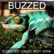 DJ Peretse in the Mix - DJ Bobo - Somebody Dance With Me (DJ Peretse remix)