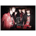 album image Ring Ding Dong 2009, Year of Us - EP