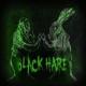 Black Hare - 10 Points to Gryffindor