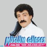 album image Bir Bilebilsen Zalim (Bir Bilebilsen)