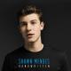 Shawn Mendes - Life Of The Party