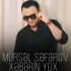 Mursel Seferov - Kus Barış
