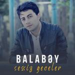 album image Sessiz Geceler