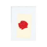 album image ILYSB LANY