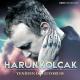 Harun Kolçak - Anladım