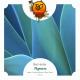 Kenny Palmer - Kirin Tor (Paipy Extended Remix)