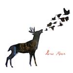 album image Just a Habit Low Roar