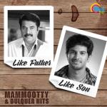 album image Mekham Like Father Like Son - Mammootty & Dulquer Hits