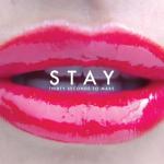 album image Stay Stay - Single