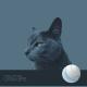 Wolf Larsen - If I Be Wrong (Alexander Mar Remix)