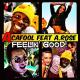 Acafool ft. A. Rose - Feelin' Good (Funkymix By DJ Rix)