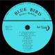 Denys Rybkin - Blue Bird