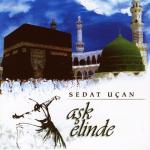 album image Sevdim Seni Aşk Elinde