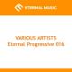 TimTaj - Voice of East (Original Mix)