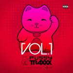 album image juicy pen(if you want to be my boy) (club remix)