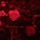 Fraunhofer Diffraction - Bloodlust