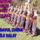 CEYLAN - delilo halay davul zurna (Kurdish Govend)