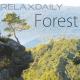 relaxdaily - Music for Relaxation N°042