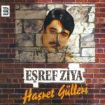 album image don bana Hasret Gülleri