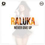 album image Never Give Up Never Give Up - Single