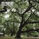 Noel Gallagher's High Flying Birds - The Dying Of The Light