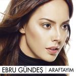 album image Bir Devir Bitti Araftayım