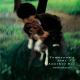 Yukihiro Takahashi - Are You Receiving Me? (Remix)