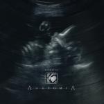 album image 1 Moment Anatomia