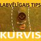 Labvēlīgais Tips - Mēs esam no ūdens