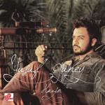 album image Hazin (2014) Hazin - Single