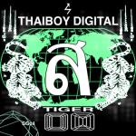 album image Diamonds Tiger