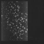 album image Heavy Wave Poverty