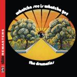 album image Whatcha See Is Whatcha Get Stax Remasters: Whatcha See Is Whatcha Get