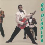 album image I'm A Man Bo Diddley