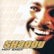 Shaggy feat. Rayvon - Angel