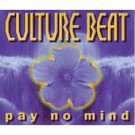 album image Pay no mind Pay No Mind - Single