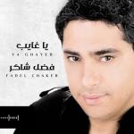 album image Ya Ghayeb يا غايب - Single