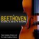 Beethowen - Piano Sonata ¹8 C minor