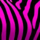 Pinkzebra feat Benji Jackson - we won't stop dreaming