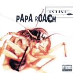album image Between Angels And Insects Infest (Bonus Track Version)