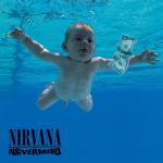 album image Drain You Nevermind