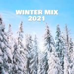 album image Lonely Boy Winter Mix 2021