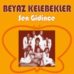 album image Dam Ustune Cul Serer Sen Gidince EP (feat. Peter Tetteroo & White Butterflies)