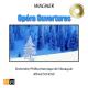 Richard Wagner - Tannhauser, WWV 70: Overture