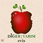 album image Diğer Yarım Diğer Yarım - Single