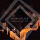 Hermitude feat. Young Tapz - Through The Roof (feat. Young Tapz)